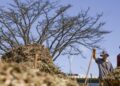 Sistemas agroecológicos de quatro biomas são criados em Brasília