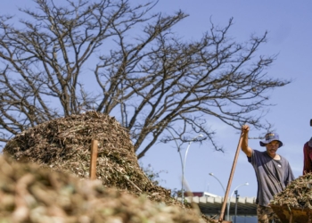 Sistemas agroecológicos de quatro biomas são criados em Brasília