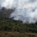 Copernicus: emissão global de gases por incêndios é a menor em 24 anos