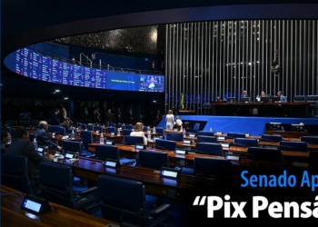 “Pix Pensão” — Senado Notícias