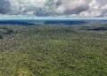 Adversária em campo, Noruega é parceira de ações ambientais do Brasil