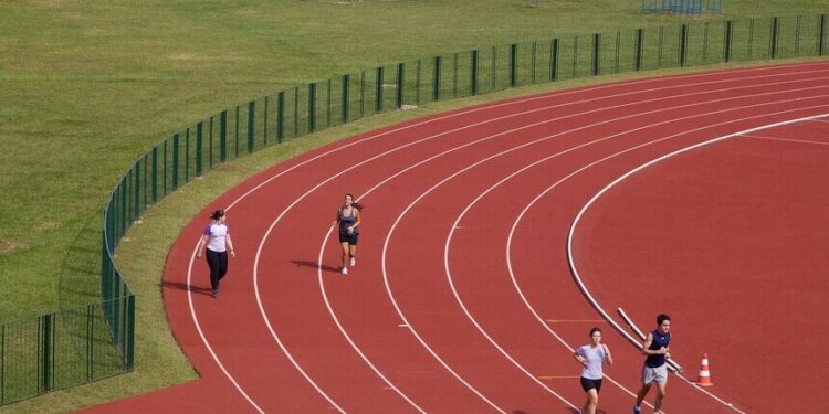 Brasil ganha primeira universidade federal dedicada ao esporte — Senado Notícias