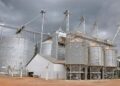 Senado vai analisar MP que destina R$ 15 bilhões a exportadores e agroindústria — Senado Notícias