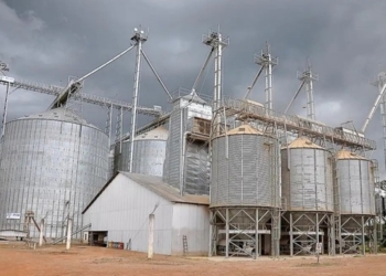 Senado vai analisar MP que destina R$ 15 bilhões a exportadores e agroindústria — Senado Notícias