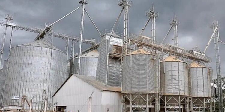 Senado vai analisar MP que destina R$ 15 bilhões a exportadores e agroindústria — Senado Notícias