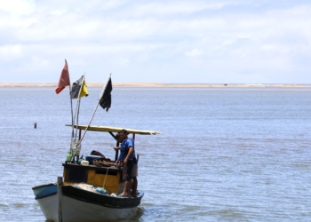 Pescadores artesanais começam a receber seguro-defeso retroativo